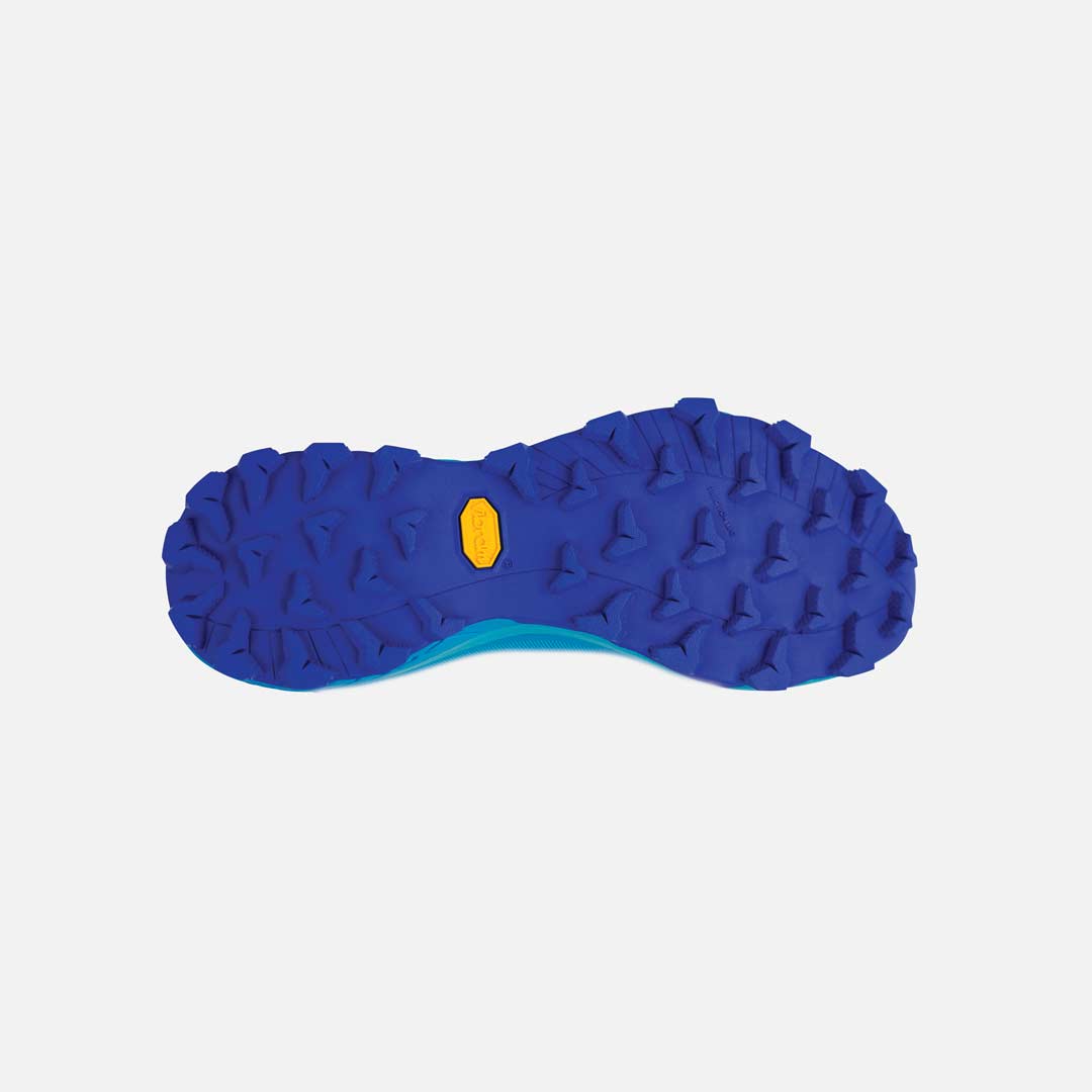 DodgerBlue