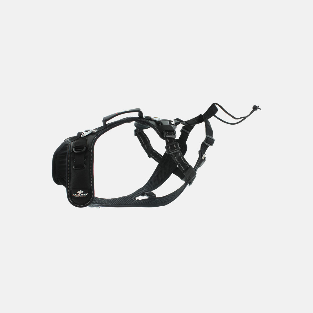 HARNAIS CANITRAIL RAIDLIGHT