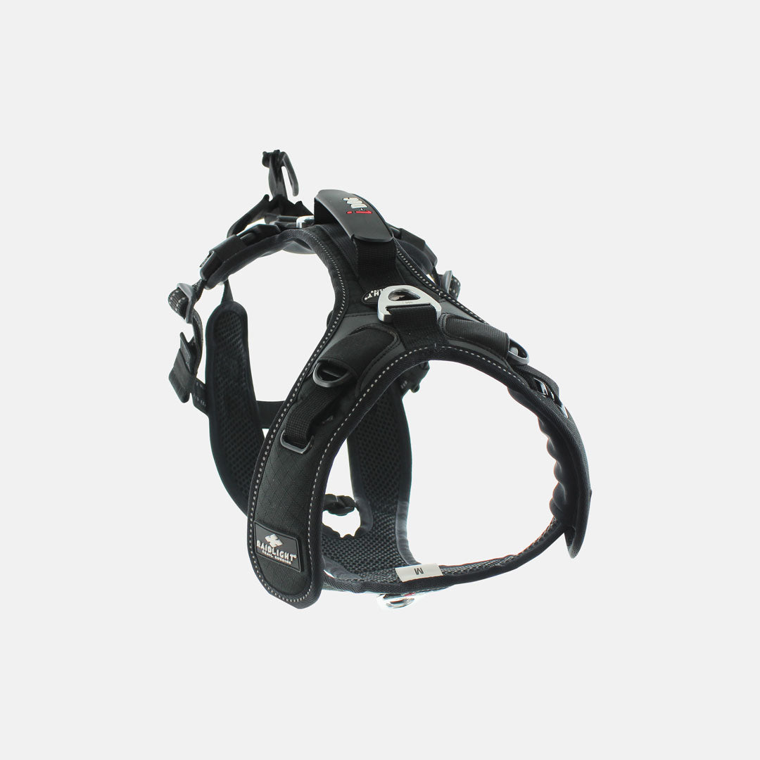 HARNAIS CANITRAIL RAIDLIGHT