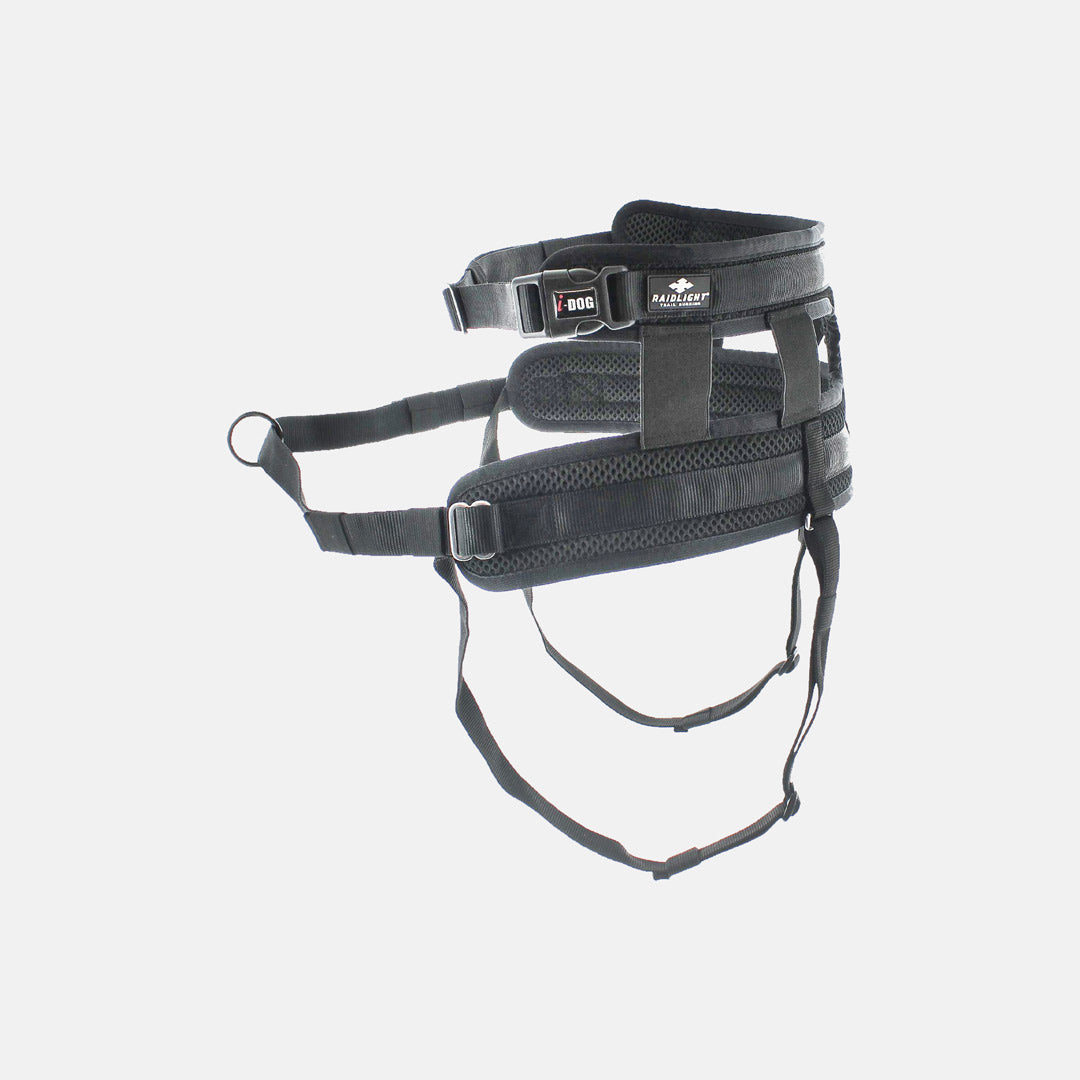 BAUDRIER CANITRAIL RAIDLIGHT