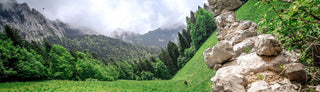 Chartreuse Terminorum : à mi-chemin entre passion et obsession