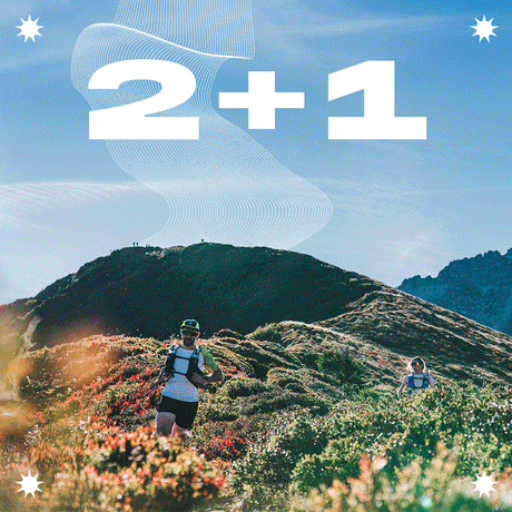 DYNAMIC HIGH SOCKS 2025