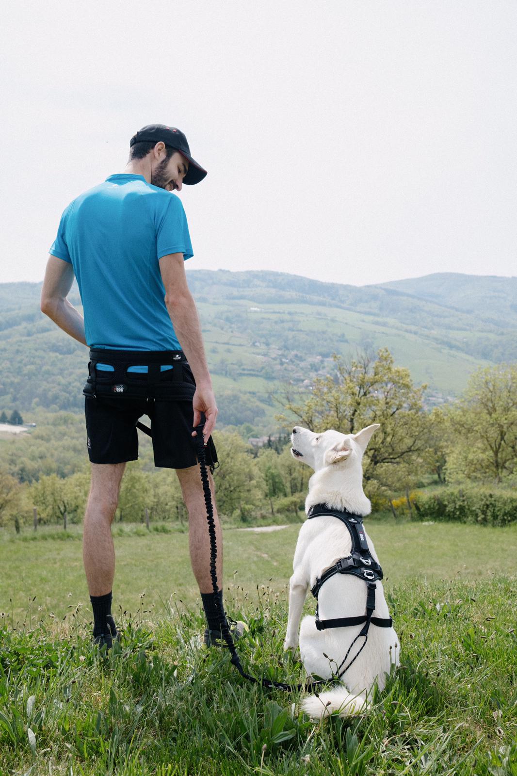 CINTURÓN CANITRAIL Raidlight