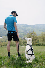 CINTURÓN CANITRAIL Raidlight