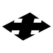 Raidlight logo
